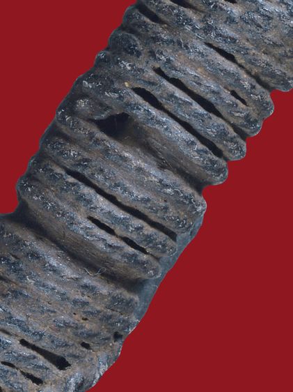 หายาก ตะกรุดกระดูกห่านหลวงพ่อหรุ่น เก้ายอด วัดอัมพวัน ยันต์ใบพัด มีไส้ตะกรุดทองแดงข้างใน ยาวประมาณ 4 นิ้ว รูปที่ 7