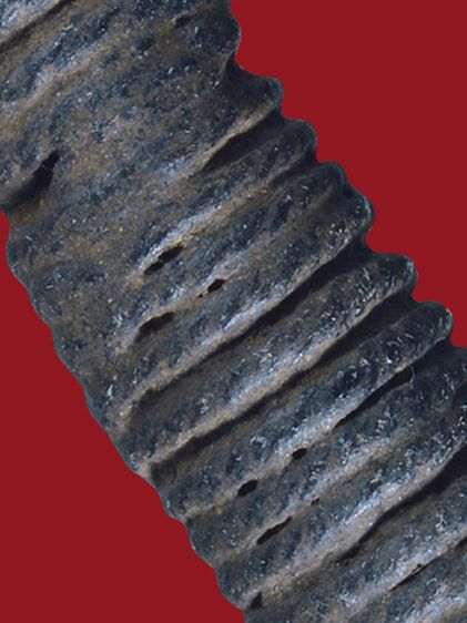 หายาก ตะกรุดกระดูกห่านหลวงพ่อหรุ่น เก้ายอด วัดอัมพวัน ยันต์ใบพัด มีไส้ตะกรุดทองแดงข้างใน ยาวประมาณ 4 นิ้ว รูปที่ 15