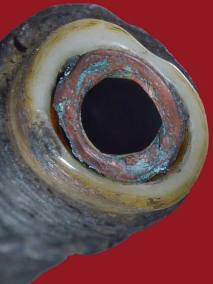 หายาก ตะกรุดกระดูกห่านหลวงพ่อหรุ่น เก้ายอด วัดอัมพวัน ยันต์ใบพัด มีไส้ตะกรุดทองแดงข้างใน ยาวประมาณ 4 นิ้ว รูปที่ 2