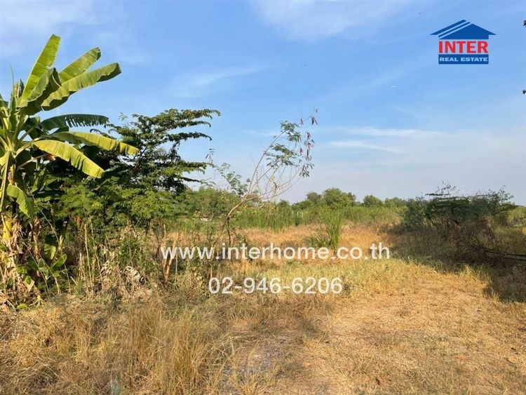 ไม่ใช่ ที่ดินเปล่า 15 ไร่ 60.7 ตร.ว. ที่ดินเปล่า ซอยคลองสาม ซอย12 ถนนคลองหลวง ถนนเลียบคลองสาม คลองหลวง ปทุมธานี รูปที่ 2