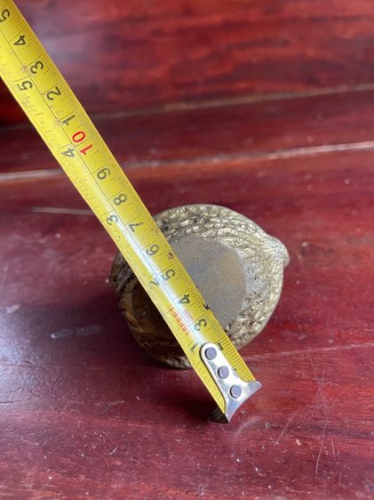 รูปปั้น หนู บนลูกวอลนัท ทองเหลืองสะสม รูปที่ 9