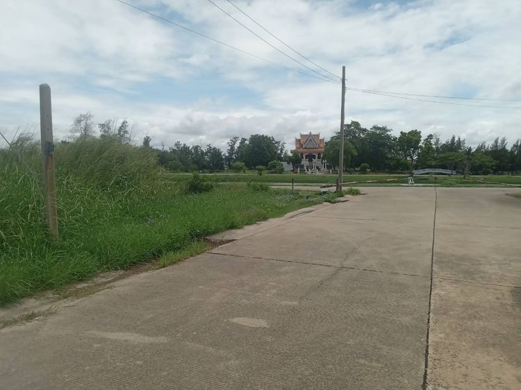 ขายที่ดินเปล่า 2 ไร่ ติดถนนคอนกรีต ซอยเทศบาลบางปู 83 รูปที่ 4