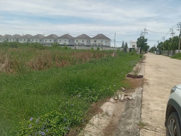 ขายที่ดินเปล่า 2 ไร่ ติดถนนคอนกรีต ซอยเทศบาลบางปู 83 รูปที่ 3