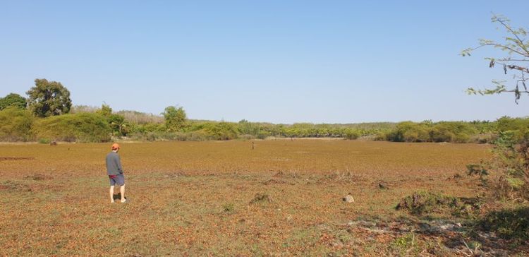 ขายที่ดิน38ไร่เอกสาร นส.3ก อ.เซกา จ.บึงกาฬ
รูปที่ 3