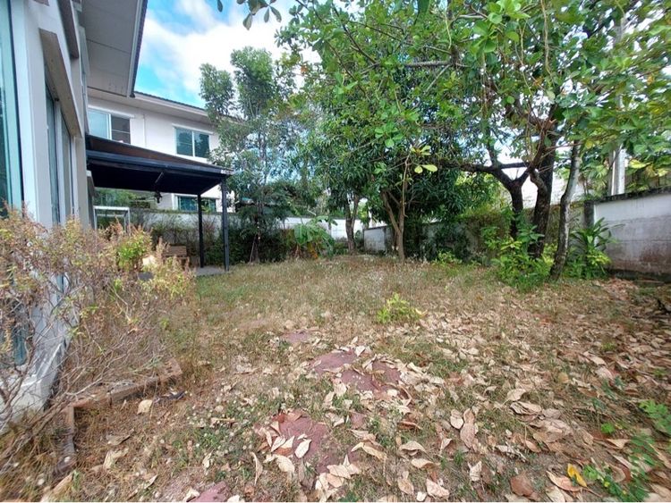 มีบางส่วน อื่นๆ ขายบ้านเดี่ยว คาซ่าวิลล์ ศรีราชา-สวนเสือ ชลบุรี 66.2 ตรว หลังมุมติดถนนเมน เงียบ เป็นส่วนตัว ซื้ออยู่เองหรือปล่อยเช้าสุดคุ้ม รูปที่ 2