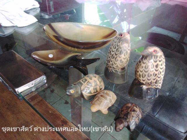 🏛.พานเงินจิ๋ว. รูปที่ 16