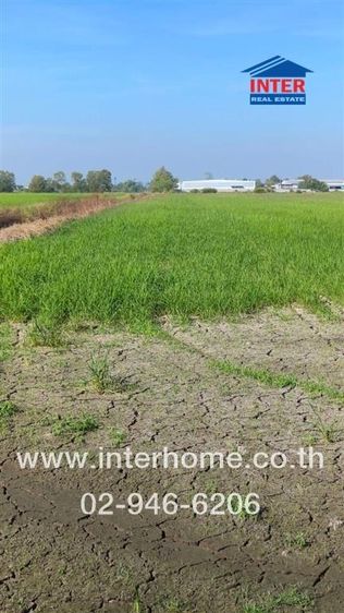 ที่ดินเปล่า 5 ไร่ ที่ดินเปล่า ใกล้มหาวิทยาลัยศรีนครินทรวิโรฒ องครักษ์ ถนนรังสิต-นครนายก ถนนทางหลวงชนบท นย 3004 องครักษ์ นครนายก