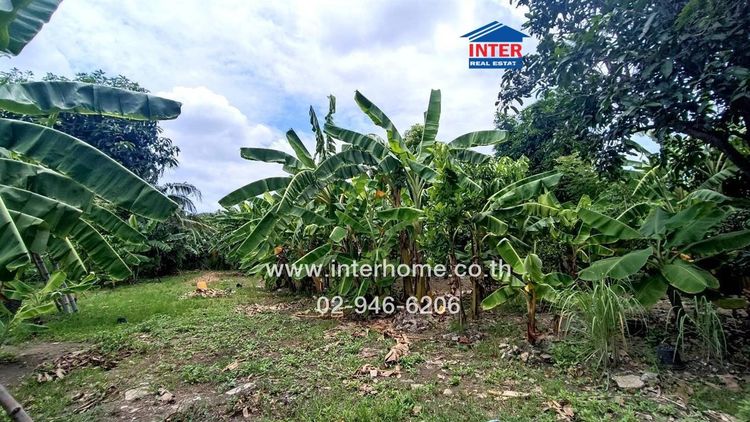 ไม่ใช่ ที่ดินเปล่า 419 ตร.ว. ที่ดิน+บ้าน+ห้องเช่า ใกล้โรงเรียนสารสาสน์วิเทศธนบุรี ซอยอัสสัมชัญ23 ถนนพุทธมณฑลสาย3 ถนนพุทธมณฑลสาย2 เขตบางแค กรุงเทพมห รูปที่ 3