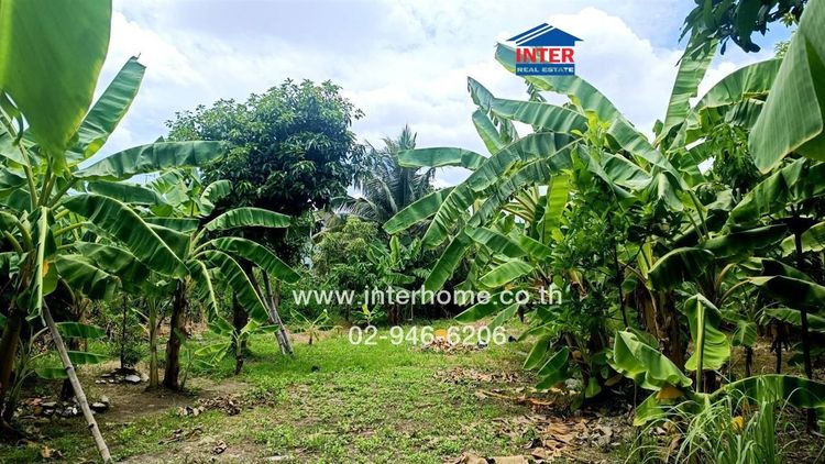 ไม่ใช่ ที่ดินเปล่า 419 ตร.ว. ที่ดิน+บ้าน+ห้องเช่า ใกล้โรงเรียนสารสาสน์วิเทศธนบุรี ซอยอัสสัมชัญ23 ถนนพุทธมณฑลสาย3 ถนนพุทธมณฑลสาย2 เขตบางแค กรุงเทพมห