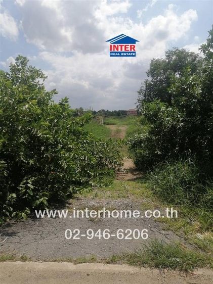 ไม่ใช่ ที่ดินเปล่า 150 ตร.ว. ที่ดินเปล่า ซอยเลียบวารี 59 ถนนเลียบวารี ถนนสุวินทวงศ์ เขตหนองจอก กรุงเทพมหานคร รูปที่ 3