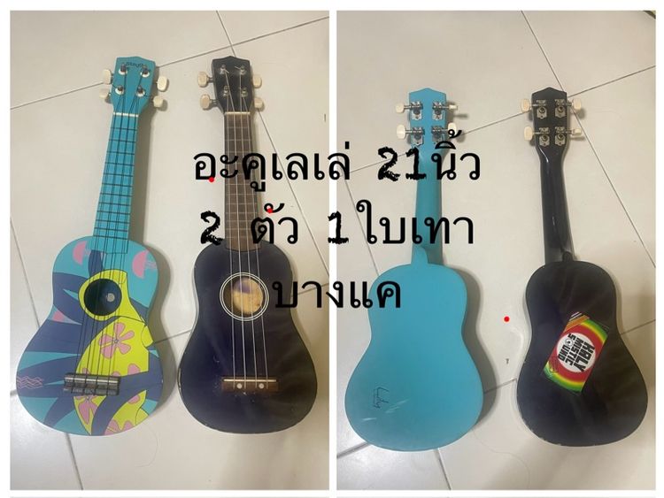 อะคูเลเล่