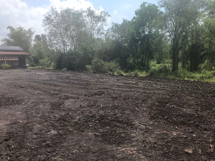 ขายที่ดินติดแม่น้ำ รูปที่ 3