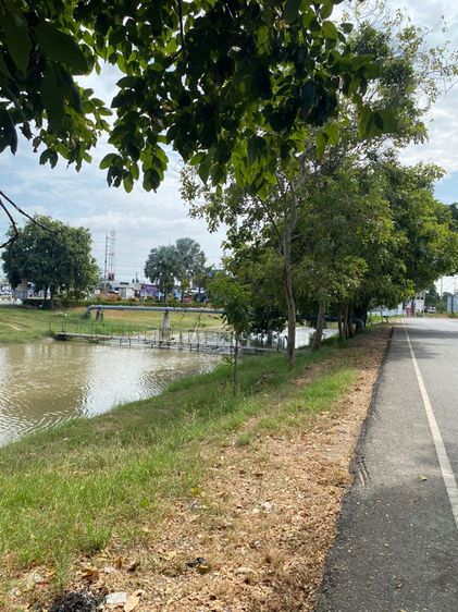 ที่ดินใกล้ตลาดนัดสี่แยกวิเศษชัยชาญอ่างทอง รูปที่ 4