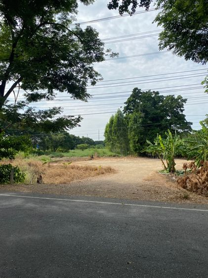 ที่ดินใกล้ตลาดนัดสี่แยกวิเศษชัยชาญอ่างทอง รูปที่ 2