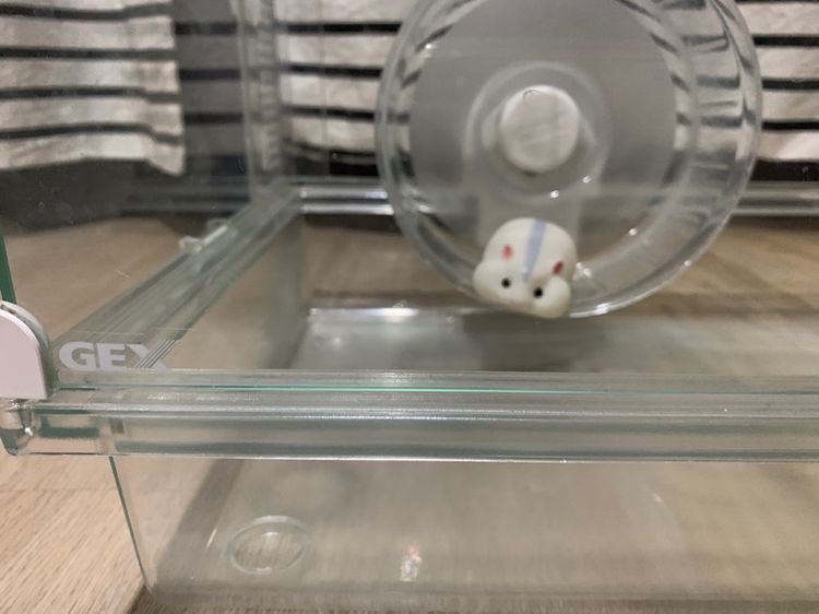 GEXジェックス(Glass Harmony 450 Plus) อุปกรณ์สำหรับสัตว์เลี้ยงคุณภาพสูงแบรนด์ จากประเทศญี่ปุ่น ชุดกรงแฮมสเตอร์หรือสัตว์เล็ก รูปที่ 9