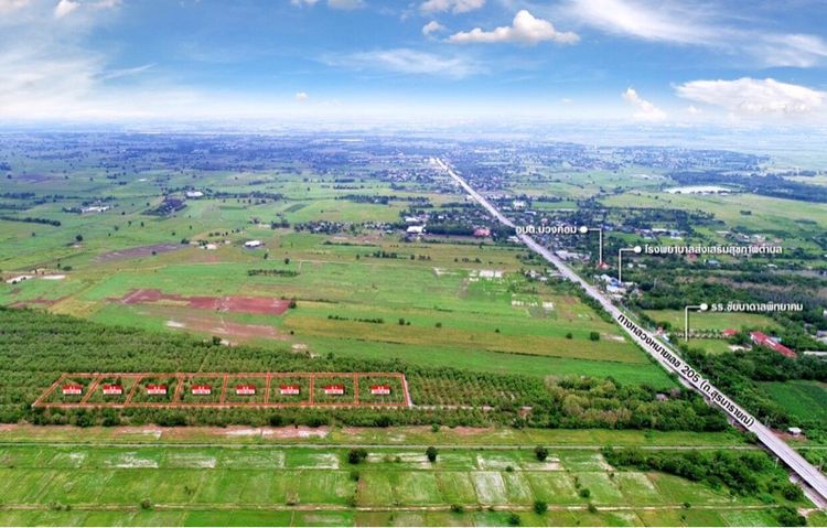 ที่ดินเปล่า 4 ไร่ ม่วงค่อม ท่าหลวง ลพบุรี