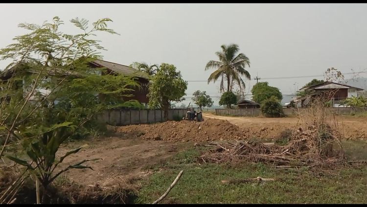 ขายที่ดิน บ้านศรีดอนมูล ต. แม่มะ อ. เชียงแสน 1 ไร่ 1 งาน