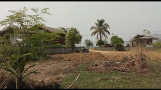 ขายที่ดิน บ้านศรีดอนมูล ต. แม่มะ อ. เชียงแสน 1 ไร่ 1 งาน