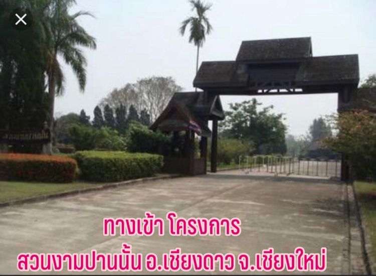 ที่ดินเปล่า เชียงดาว เชียงใหม่ ติดแม่น้ำปิง