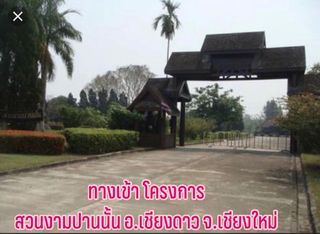ที่ดินเปล่า เชียงดาว เชียงใหม่ ติดแม่น้ำปิง