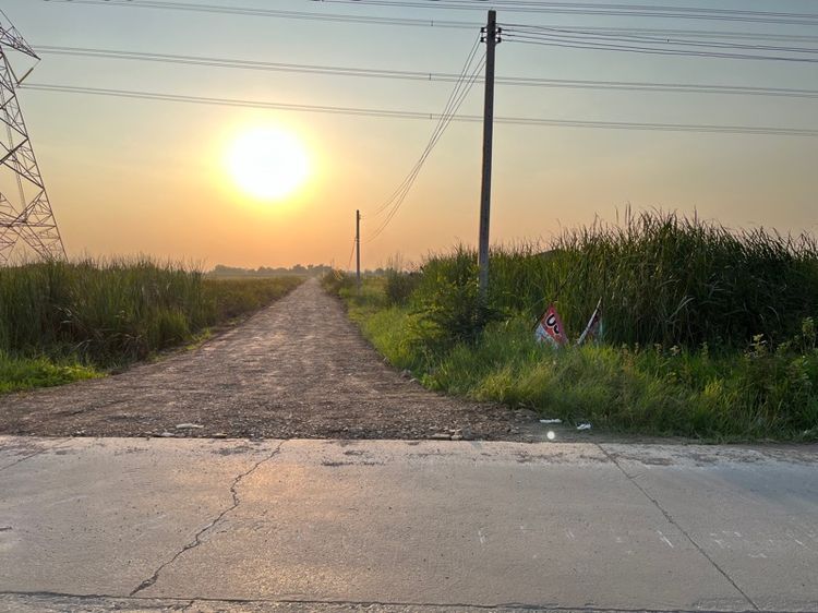 ให้เช่าที่ดินถมแล้วลำลูกกา คลองแปด ฝั่งตะวันตก รูปที่ 3