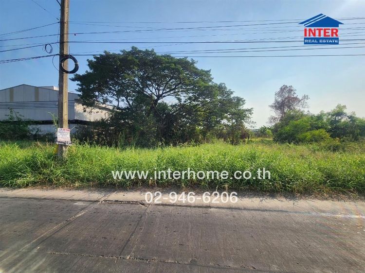 ที่ดินเปล่า 800 ตร.ว. ที่ดิน ซอยคลองสี่ตะวันออก47 ถนนคลองสี่ ใกล้ Lazada Express Hub คลองหลวง ถนนกาญจนาภิเษก ถนนคลองสี่ คลองหลวง ปทุมธานี