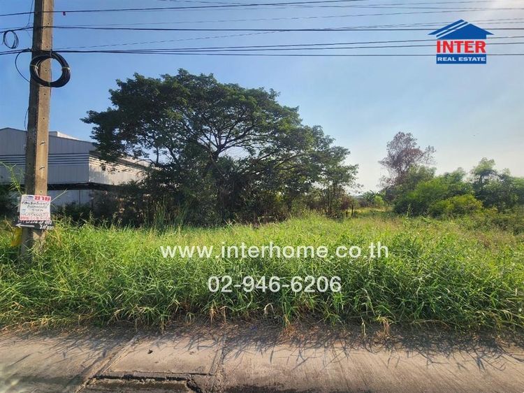 ไม่ใช่ ที่ดินเปล่า 800 ตร.ว. ที่ดิน ซอยคลองสี่ตะวันออก47 ถนนคลองสี่ ใกล้ Lazada Express Hub คลองหลวง ถนนกาญจนาภิเษก ถนนคลองสี่ คลองหลวง ปทุมธานี รูปที่ 2