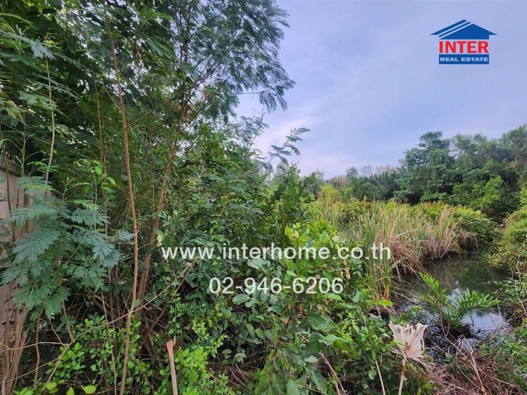 ไม่ใช่ ที่ดินเปล่า 423 ตร.ว. ที่ดิน ใกล้วัดโสธร เดินทางไปวัดโสธร ถนนศุขประยูร ถนนเทพคุณากร เมืองฉะเชิงเทรา ฉะเชิงเทรา รูปที่ 4