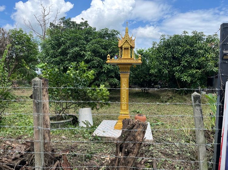 มีบางส่วน 2019 บ้านสวนชั้นเดียว รูปที่ 2