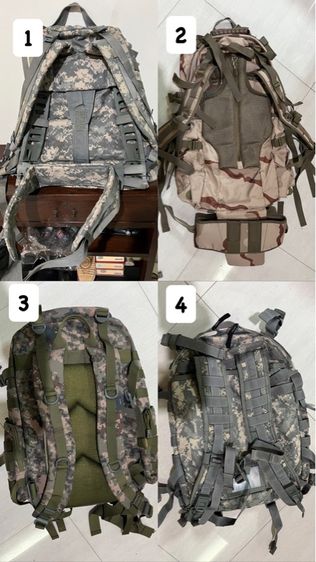 เป้ทหาร ใบใหญ่ รูปที่ 2