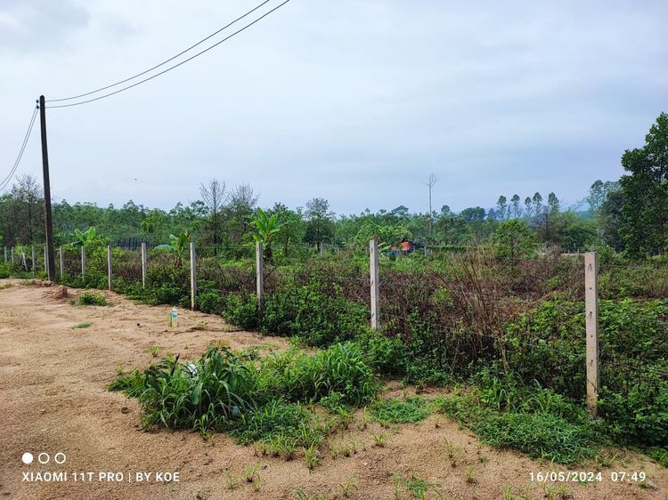 900,000 บาท ที่ดิน1 ไร่ บ้านเขาช่องลม ต.ชากบก อ.บ้านค่าย จ.ระยอง รูปที่ 3