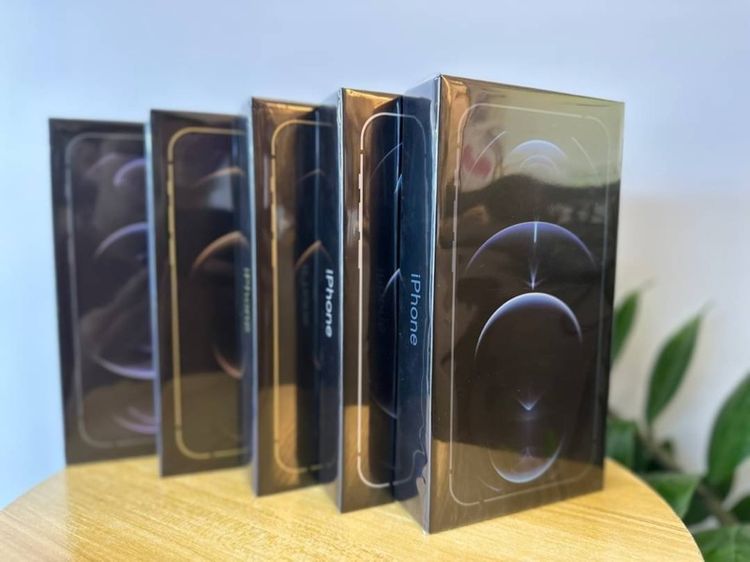 iPhone 12 Pro Max  รูปที่ 5