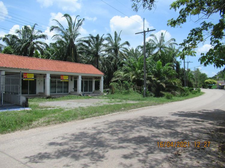 ใช่ 💖 ทาวน์เฮ้าส์ ชัยบุรี ราคาพิเศษ! 💖 รูปที่ 4