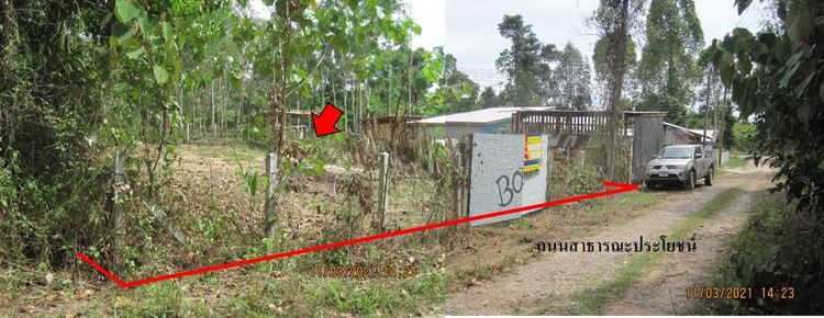 āđāļāđ ð āļāļĩāđāļāļīāļ āļŠāļļāđāļŦāļāļāļēāļāļĩ āļĢāļēāļāļēāļāļīāđāļĻāļĐ! ð āļĢāļđāļāļāļĩāđ 2