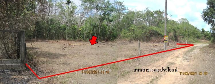 💖 ที่ดิน สุไหงปาดี ราคาพิเศษ! 💖