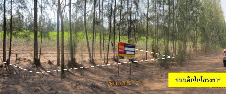 💖 ที่ดิน ท่าม่วง ราคาพิเศษ! 💖