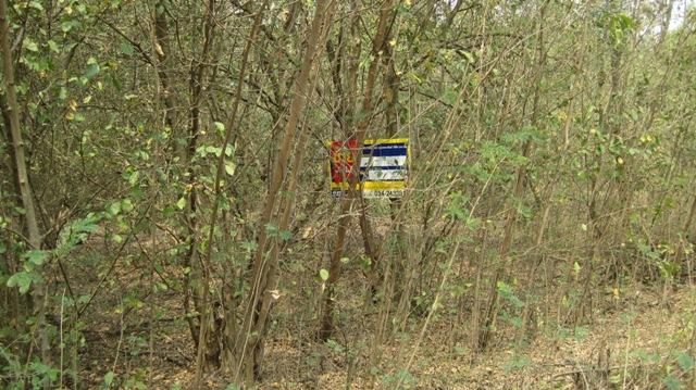 💖 ที่ดิน บางเลน ราคาพิเศษ! 💖 รูปที่ 2