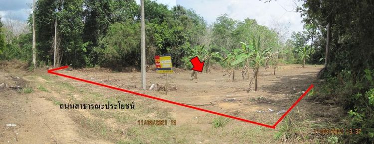 💖 ที่ดิน สุไหงปาดี ราคาพิเศษ! 💖