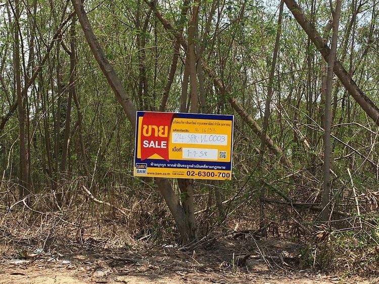 āđāļāđ ð āļāļĩāđāļāļīāļ āļāļēāļāļāđāļ āļĢāļēāļāļēāļāļīāđāļĻāļĐ! ð āļĢāļđāļāļāļĩāđ 2