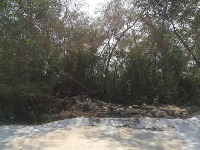 ใช่ 💖 ที่ดิน บางบ่อ ราคาพิเศษ! 💖 รูปที่ 4