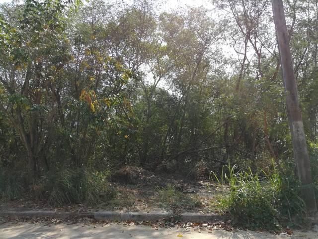 āđāļāđ ð āļāļĩāđāļāļīāļ āļāļēāļāļāđāļ āļĢāļēāļāļēāļāļīāđāļĻāļĐ! ð āļĢāļđāļāļāļĩāđ 3