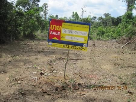 āđāļāđ ð āļāļĩāđāļāļīāļ āļŠāļļāđāļŦāļāļāļēāļāļĩ āļĢāļēāļāļēāļāļīāđāļĻāļĐ! ð āļĢāļđāļāļāļĩāđ 2