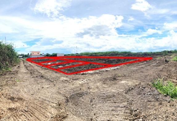 ใช่ 💖 ที่ดิน ท่ายาง ราคาพิเศษ! 💖 รูปที่ 3