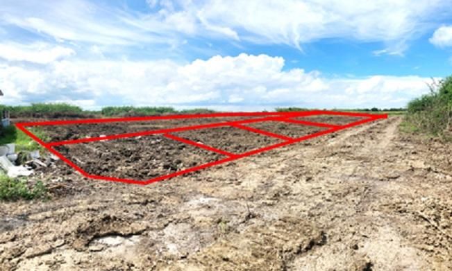 ใช่ 💖 ที่ดิน ท่ายาง ราคาพิเศษ! 💖 รูปที่ 4