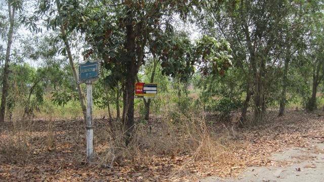 💖 ที่ดิน บางเลน ราคาพิเศษ! 💖