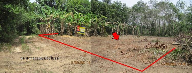 ใช่ 💖 ที่ดิน สุไหงปาดี ราคาพิเศษ! 💖 รูปที่ 2