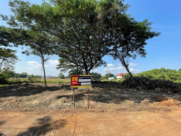 💖 ที่ดิน หางดง ราคาพิเศษ! 💖