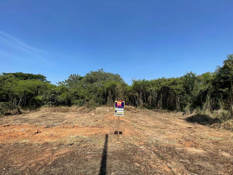 ใช่ 💖 ที่ดิน หางดง ราคาพิเศษ! 💖 รูปที่ 4