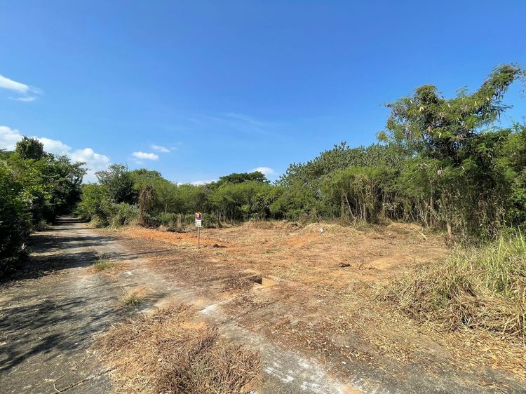 āđāļāđ ð āļāļĩāđāļāļīāļ āļŦāļēāļāļāļ āļĢāļēāļāļēāļāļīāđāļĻāļĐ! ð āļĢāļđāļāļāļĩāđ 2