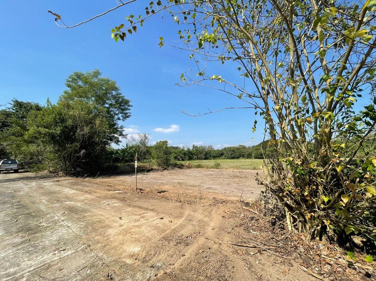 āđāļāđ ð āļāļĩāđāļāļīāļ āļŦāļēāļāļāļ āļĢāļēāļāļēāļāļīāđāļĻāļĐ! ð āļĢāļđāļāļāļĩāđ 3